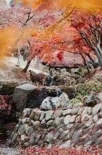 澳门葡京赌场门口-澳门葡京赌场门口的繁华与静谧