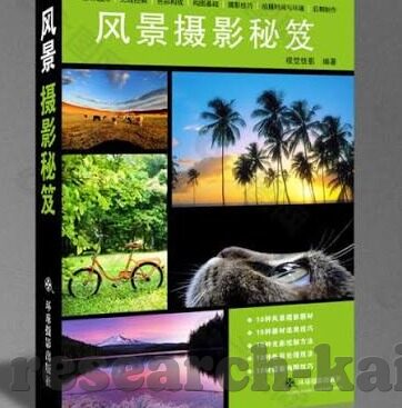 足球比分时间准确-足球比分时间精准性,一场数据背后的科技与人文交响曲